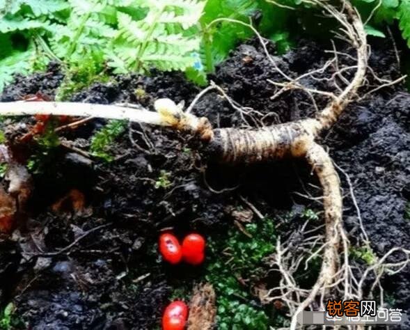 为什么新股上市首日不实行全流通,这样不就能解决新股炒作和大小非的问题吗？