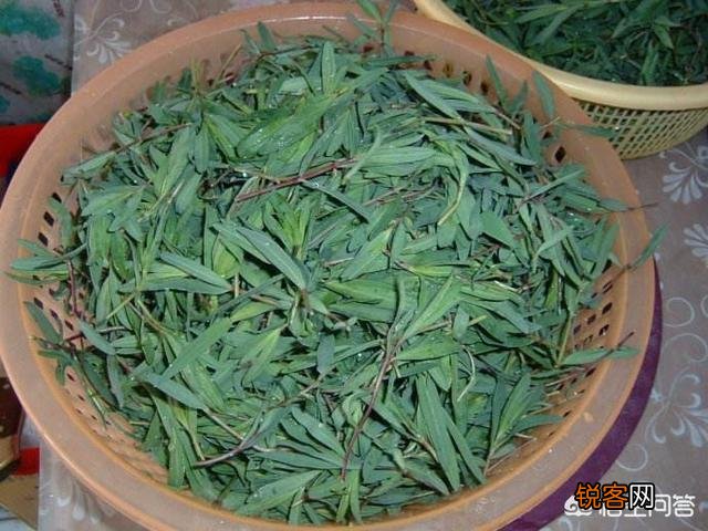 农村山里的野菜山麻楂现在多少钱一斤？农民愿意摘野菜卖钱吗？