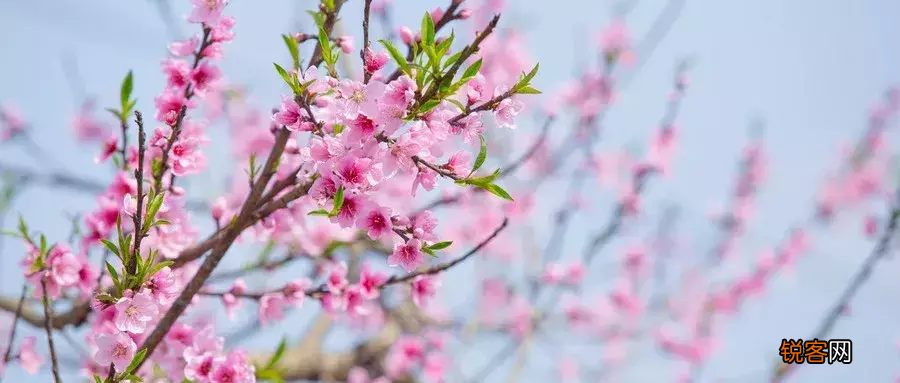 好听唯美的四字词语大全 精选40句