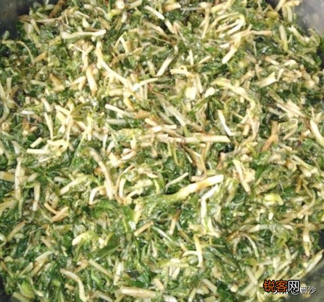 春季可以吃哪些野菜？