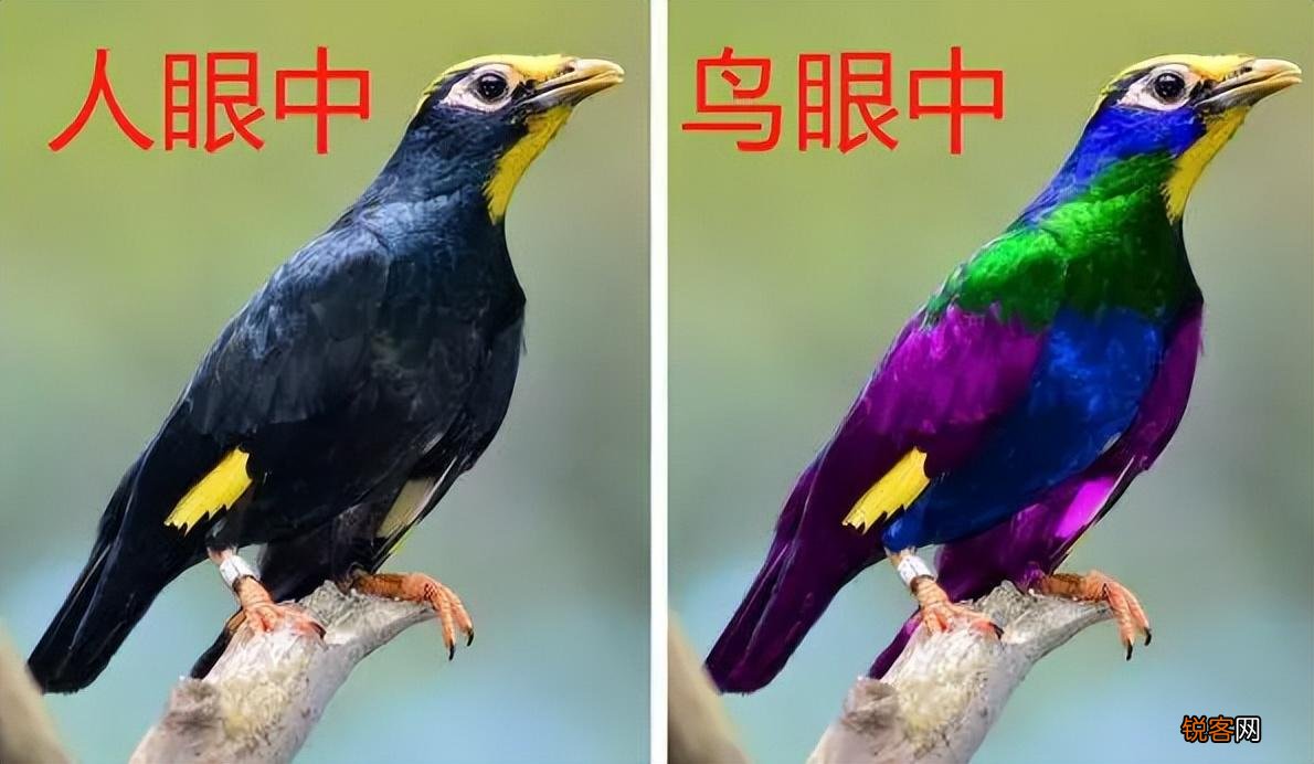 舟山出现血红色天空的原因 浙江气象局回应