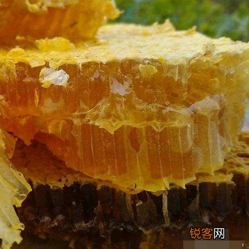 你在云南吃过哪些好吃的野菜？