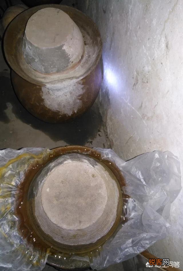 你所在的农村里,三月份都有哪些可食用的野菜？都是怎么烹调的？