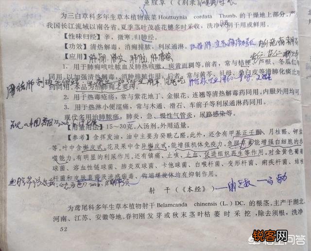 你所在的农村里,三月份都有哪些可食用的野菜？都是怎么烹调的？