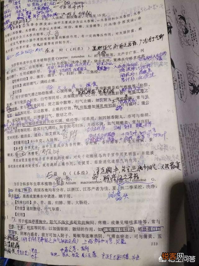 你所在的农村里,三月份都有哪些可食用的野菜？都是怎么烹调的？