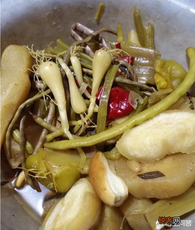 你所在的农村里,三月份都有哪些可食用的野菜？都是怎么烹调的？