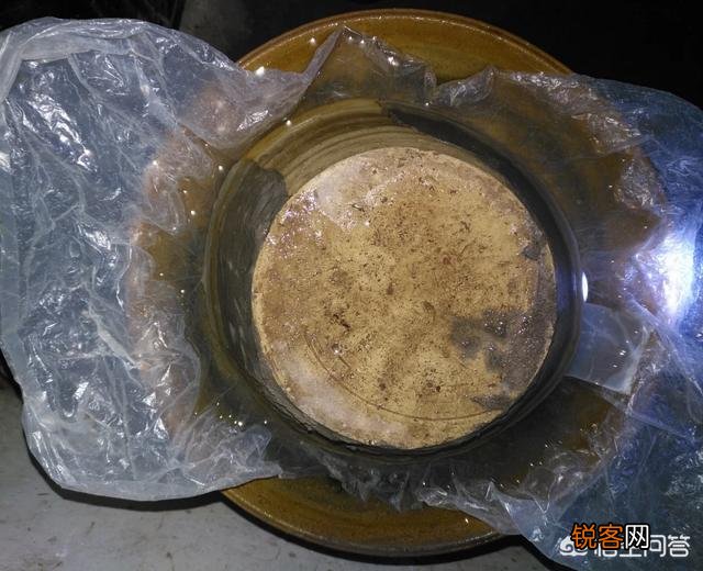 你所在的农村里,三月份都有哪些可食用的野菜？都是怎么烹调的？