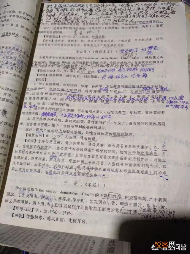 你所在的农村里,三月份都有哪些可食用的野菜？都是怎么烹调的？