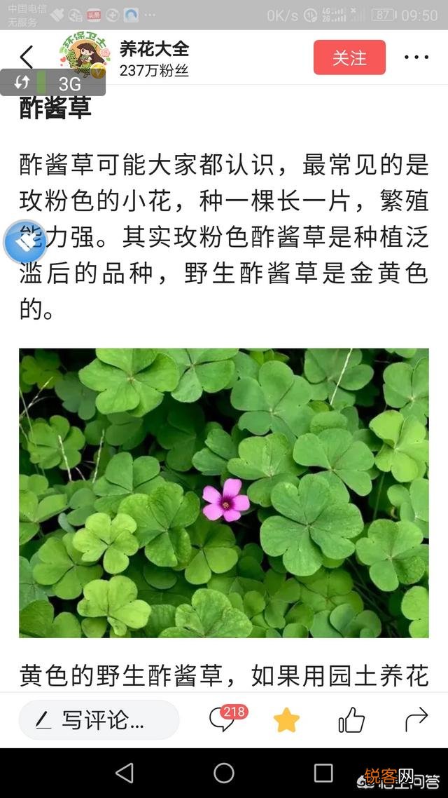 你所在的农村里,三月份都有哪些可食用的野菜？都是怎么烹调的？
