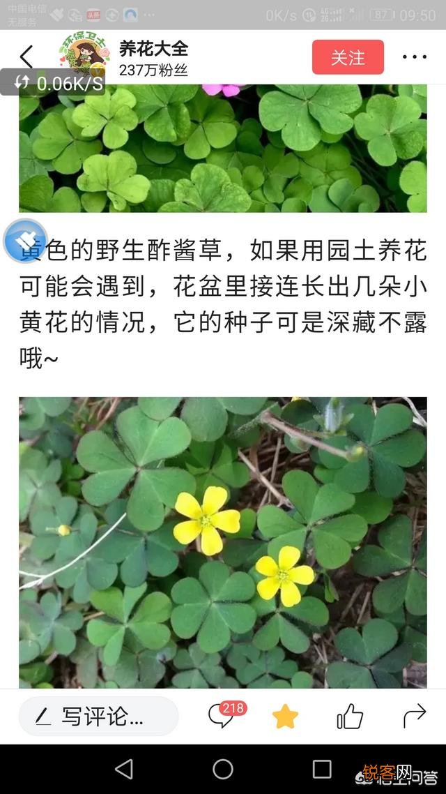 你所在的农村里,三月份都有哪些可食用的野菜？都是怎么烹调的？