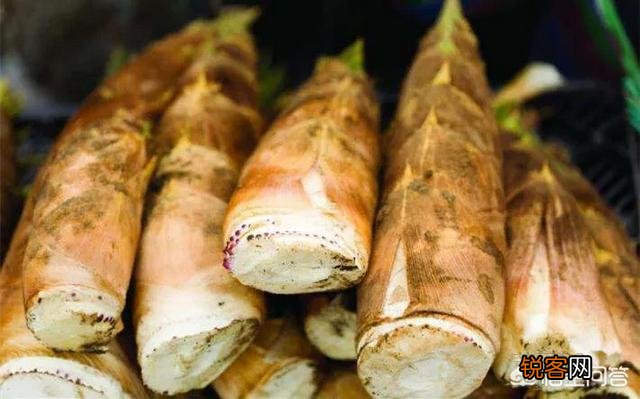 在农村,夏天有哪些可以吃的野菜？