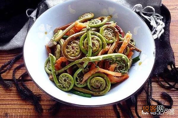 在农村,夏天有哪些可以吃的野菜？