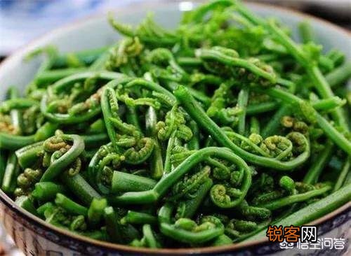 在农村,夏天有哪些可以吃的野菜？