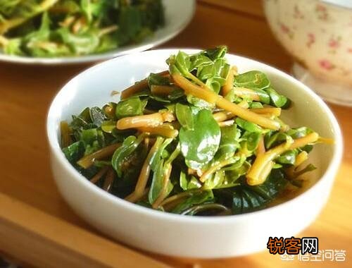 农村稀有的野菜,老人常常挖掘享用美味,吃过的人多吗？