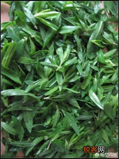 现在农村生活条件好了,为什么有的人还要挖野菜吃？
