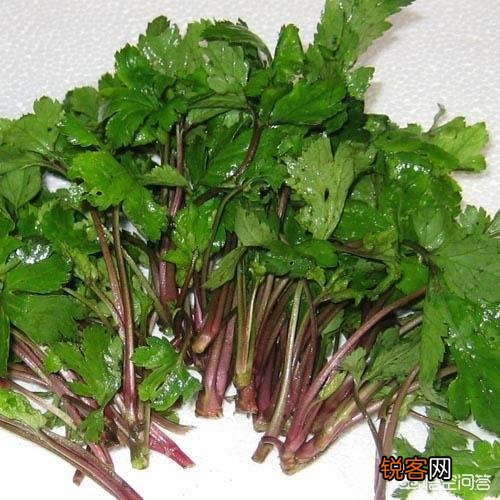 现在农村生活条件好了,为什么有的人还要挖野菜吃？