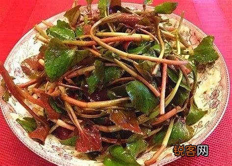 南方有什么好吃的野菜吗？