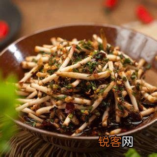 南方有什么好吃的野菜吗？