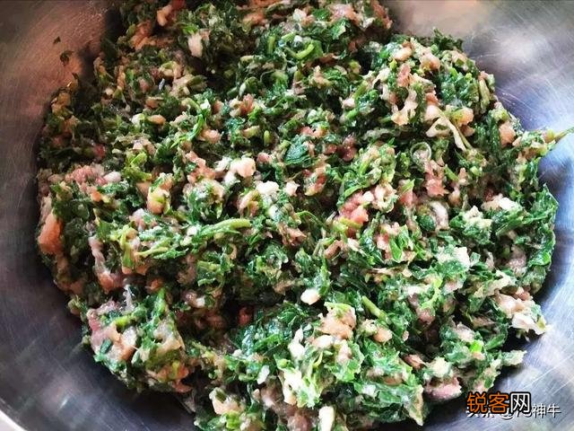 三四月份在你们老家都有什么爱吃的野菜？附上照片和名字最好？