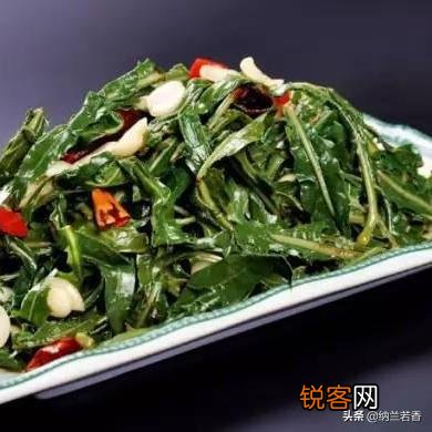 三四月份在你们老家都有什么爱吃的野菜？附上照片和名字最好？