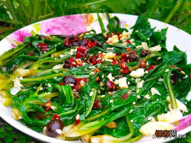 春天到了,还有哪些野菜可以当盘中美食呢？你吃过哪些野菜呢？
