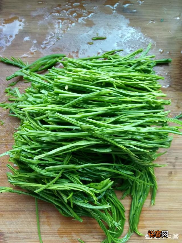 春天是吃野菜的季节,有哪些好吃的野菜及做法？