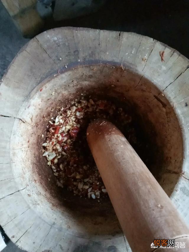 春天是吃野菜的季节,有哪些好吃的野菜及做法？