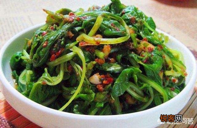 春天是吃野菜的季节,有哪些好吃的野菜及做法？