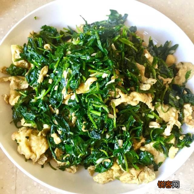 让你吃一次还吃的农村野菜有哪些呢？