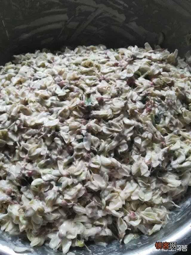 让你吃一次还吃的农村野菜有哪些呢？