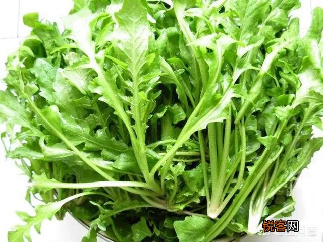 让你吃一次还吃的农村野菜有哪些呢？