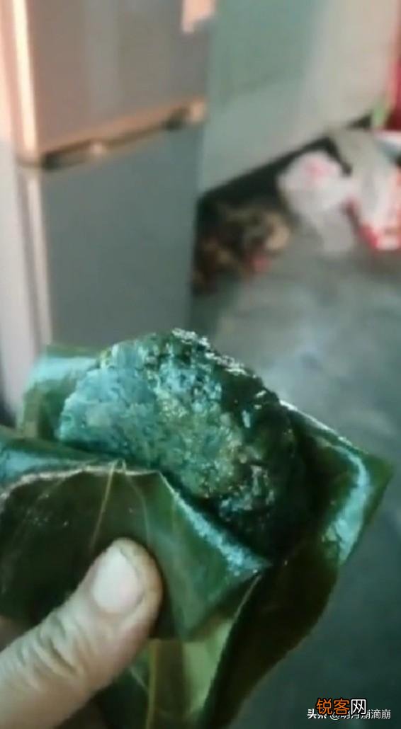 你知道哪些野菜?有哪几种吃法?棉菜怎么做好吃?