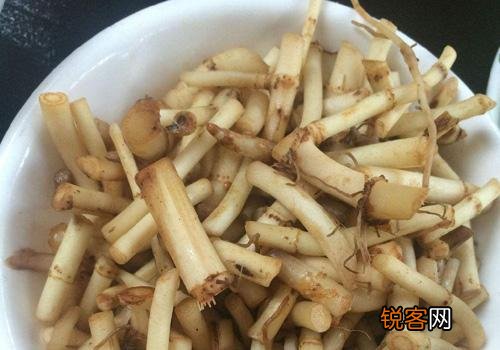 农村里野菜有多少种？都什么名字？