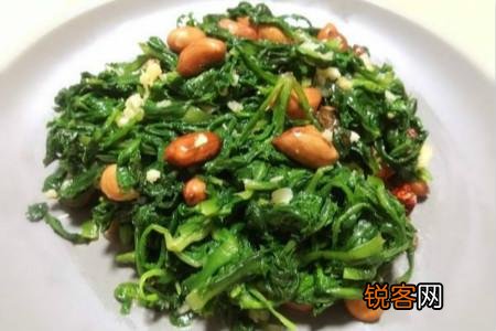 农村里野菜有多少种？都什么名字？