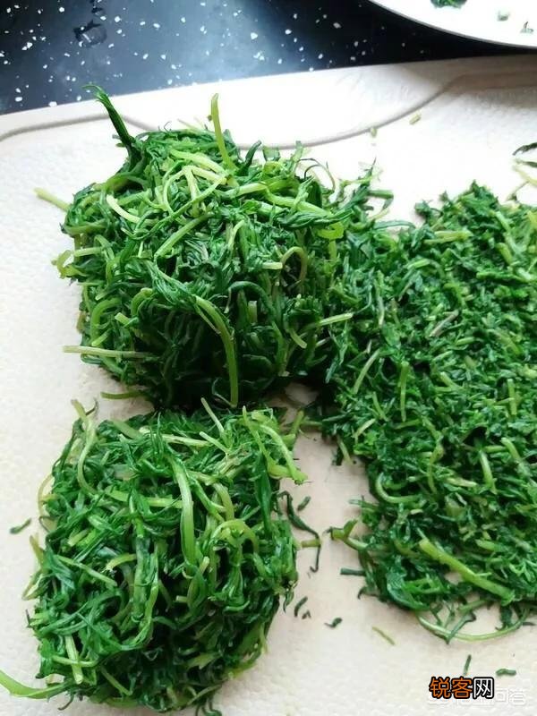 在农村有一种与猪毛菜很像的野菜,它叫碱蓬菜,你吃过吗？
