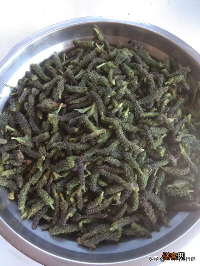 野菜味美且营养丰富,对人体好处多多。说说你那里都有什么野菜？