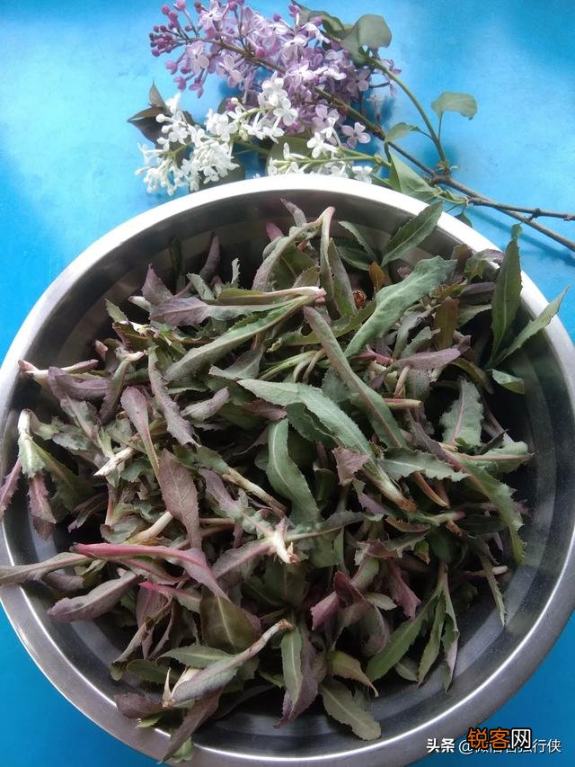 野菜味美且营养丰富,对人体好处多多。说说你那里都有什么野菜？