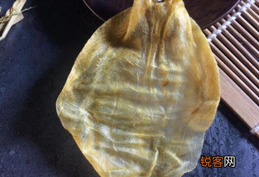 蜘蛛胶的作用与禁忌