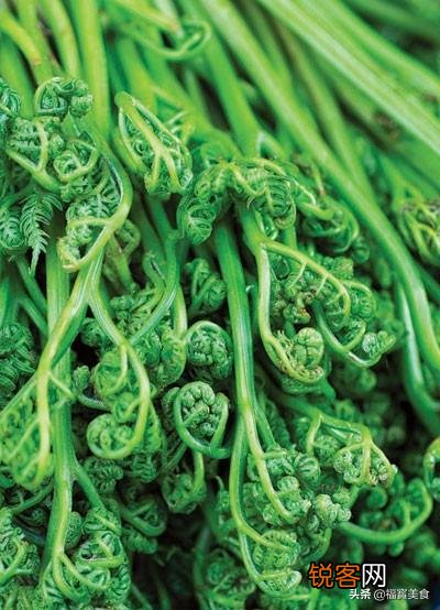 如图 农村到处可见的黄花多汁的野菜能食用吗？？