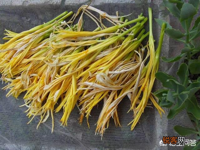 有哪些口味比较好的野菜？