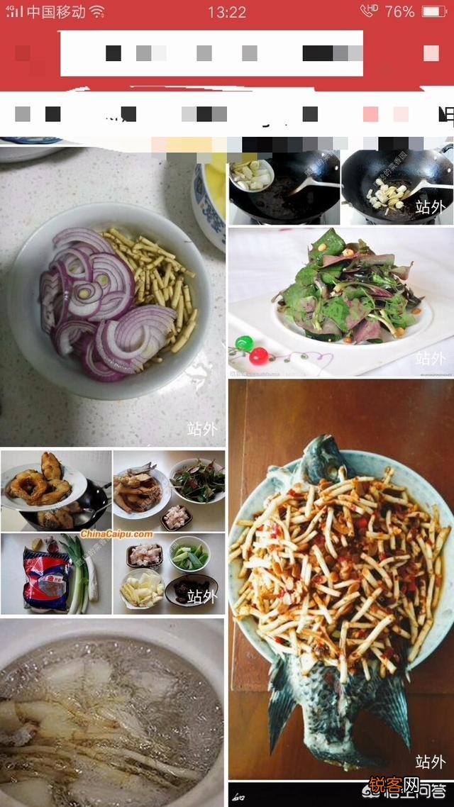 在农村,有什么野菜可以食用且对身体有益？