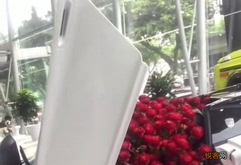 鲜花能在车里放一夜吗