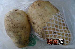 韩式土豆饼的做法