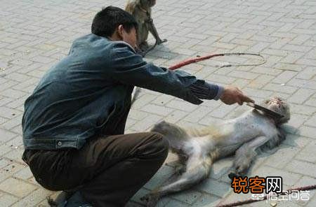 曲协成员私下会听郭德纲的相声吗？