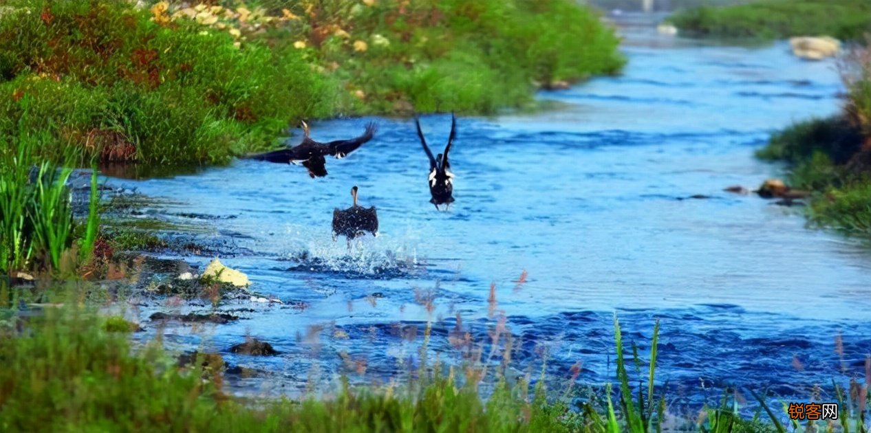 许碧霞诗词 江山更迭，人心向背，左右乾坤 散曲十首