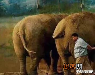 当初跟着孙越转投德云社的“艺馨社”成员,现在的相声水平和在德云社的地位都怎么样了？