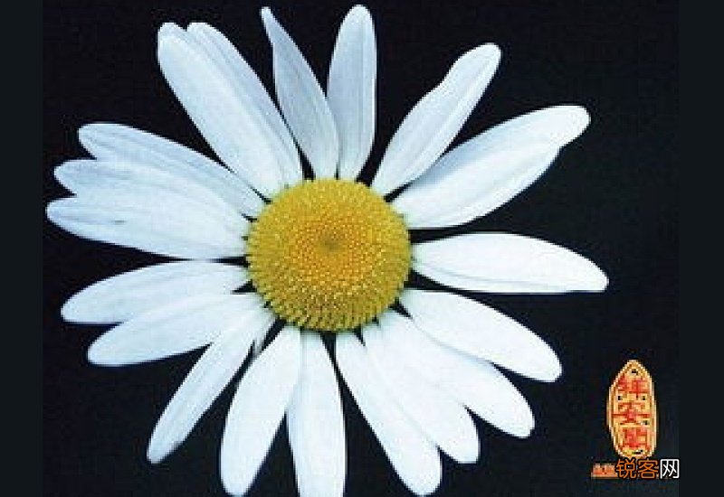 梦见抱着死去的亲人大哭