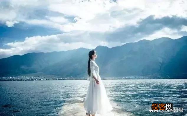 海鸥的寓意和象征意义 风雨中的勇者