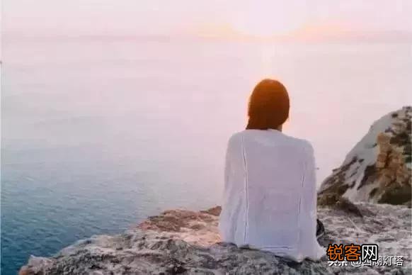 海鸥的寓意和象征意义 风雨中的勇者