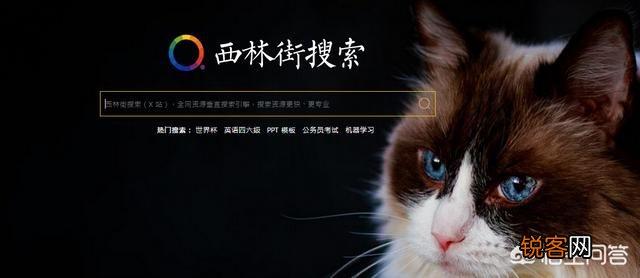 网盘搜索哪家强？